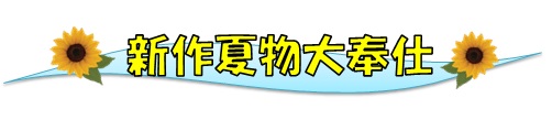 新作夏物大奉仕